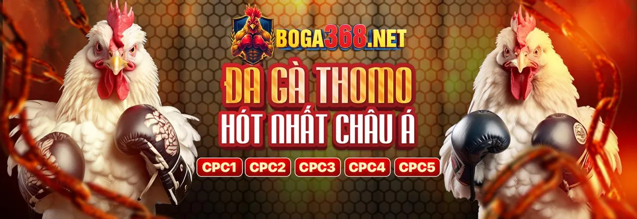 Sòng bạc trực tiếp hit.clup với người chia bài chuyên nghiệp